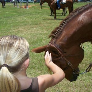 Meet your Posher, Lynette